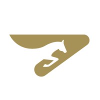 Analytics & Odds